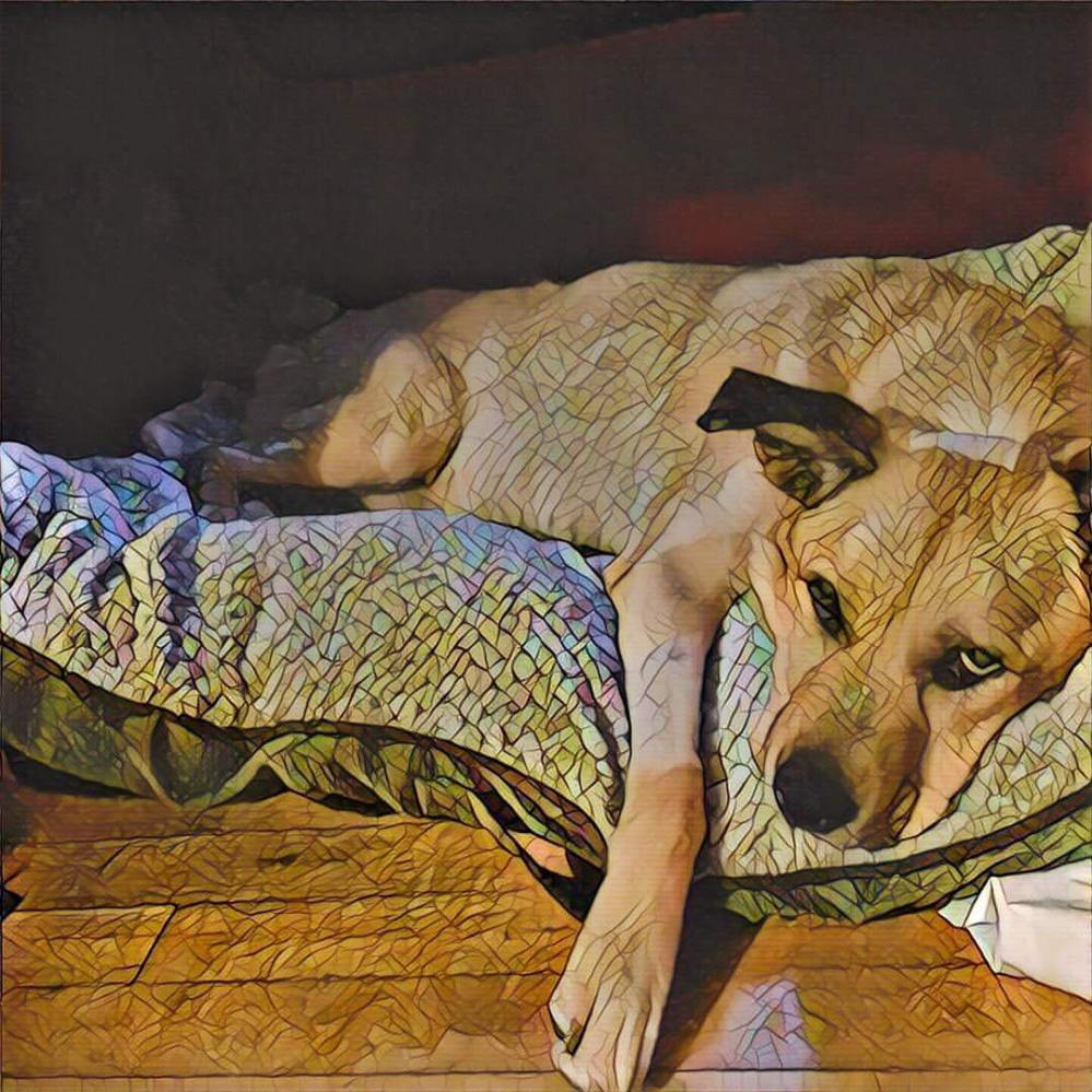 14707784_10101468998562368_1042227665445448142_o